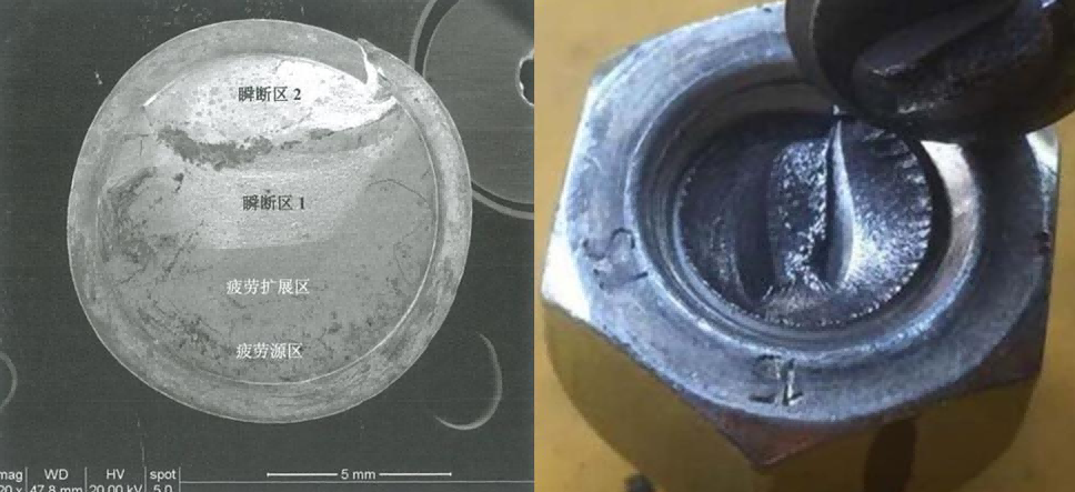 bf86ec30-1104-4dd9-a0d9-64ccdd9348891 bf86ec30-1104-4dd9-a0d9-64ccdd9348891